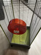 Klec Small Animals Kamil