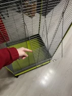 Klec Small Animals Kamil