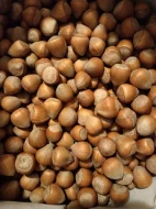 Vlašské a lískové ořechy neloupané