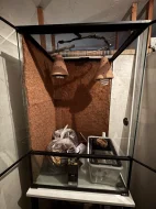 Terárium pro chameleona