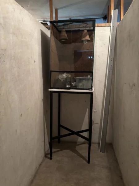 Terárium pro chameleona