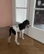 Fenka s PP ihned k odběru