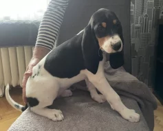 Fenka s PP ihned k odběru