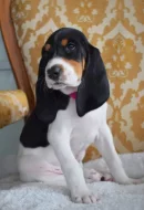 Fenka s PP ihned k odběru