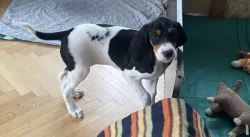 Fenka s PP ihned k odběru