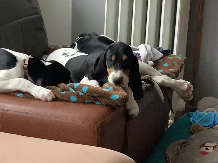 Fenka s PP ihned k odběru