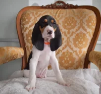 Fenka s PP ihned k odběru