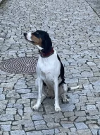 Fenka s PP ihned k odběru