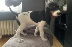 Fenka s PP ihned k odběru