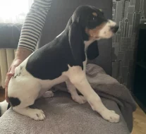 Fenka s PP ihned k odběru