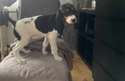 Fenka s PP ihned k odběru