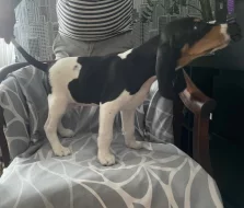 Fenka s PP ihned k odběru