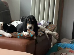 Fenka s PP ihned k odběru