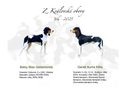 Fenka s PP ihned k odběru