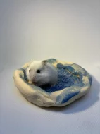 Křečík džungarský – mláďata s PP | CHS Roklinka