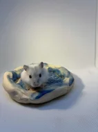 Křečík džungarský – mláďata s PP | CHS Roklinka