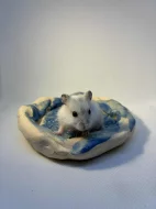 Křečík džungarský – mláďata s PP | CHS Roklinka