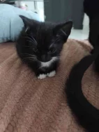 Speciální silvestrovská nabídka