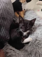 Speciální silvestrovská nabídka