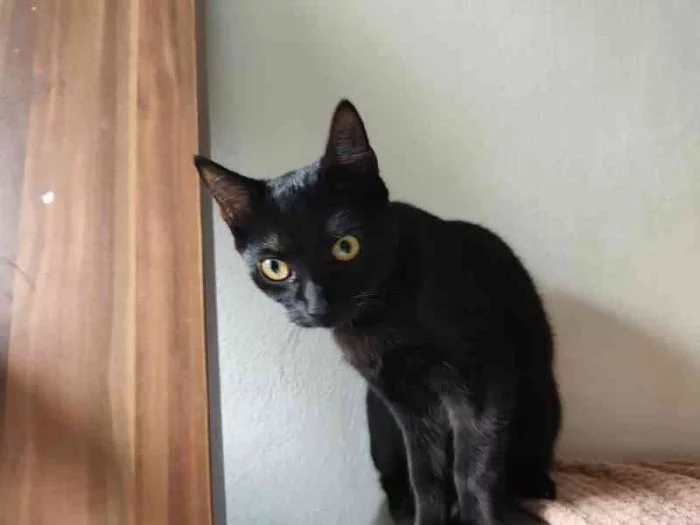 Speciální silvestrovská nabídka