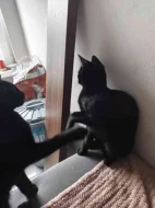 Speciální silvestrovská nabídka