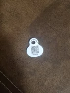 Prodej štenatka pekinskeho Palackého psika