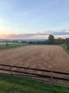 Boxové ustájení – plný servis | Lštěň