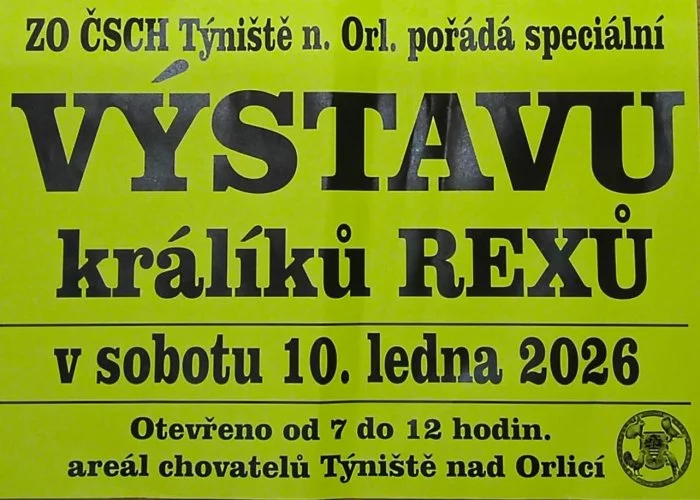 Speciální klubová výstava Rex klubu v Týništi nad Orlicí 10.1.26. od 7 do 12 hodin
