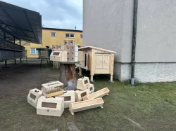 Speciální klubová výstava Rex klubu v Týništi nad Orlicí 10.1.26. od 7 do 12 hodin