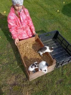 SPOLEČENSKÁ PŘÍTULNÁ KOŤATA