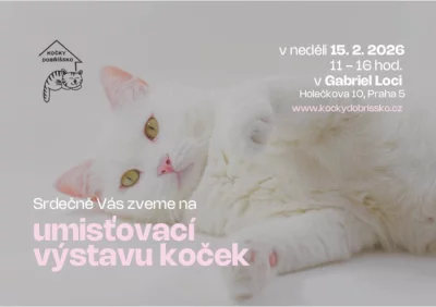 Umísťovací výstava koček v Praze 5
