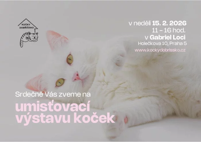 Umísťovací výstava koček v Praze 5