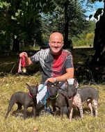 3,5 -měsíční Americký bezsrstý teriér: modrý/černý - 3 pejsci