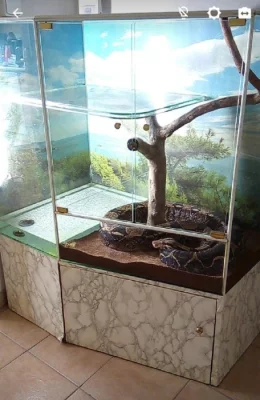 Rohové terárium