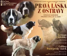 Moskevský strážní pes