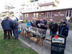 Trh holubů Libčice nad Vltavou, 7.2.2026