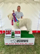 Zadáme štěňata Jihoruského ovčáka s PP