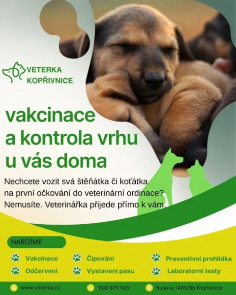 Nabídka služeb - vakcinace štěňat u vás doma