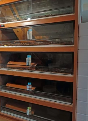 Terária viz foto, odběr do konce ledna = sleva