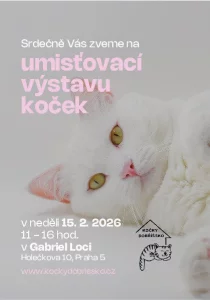 Umísťovací výstava koček v Gabriel Loci
