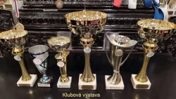 Francouzský buldoček s PP