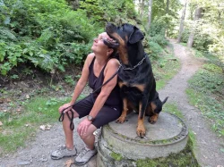 Štěňata rotvajlera