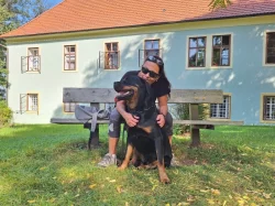 Štěňata rotvajlera