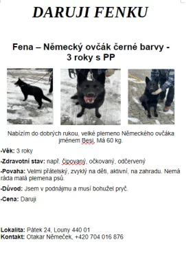 Daruji Fenku Německého ovčáka
