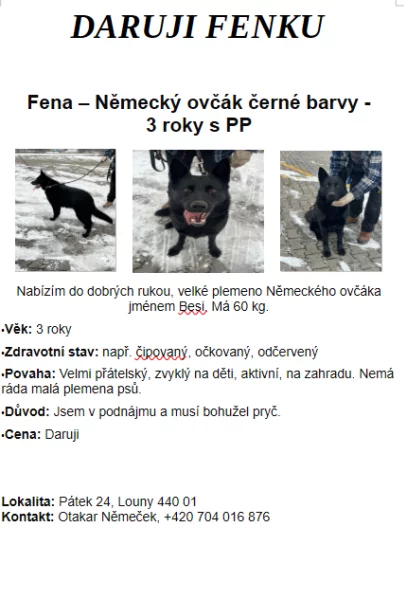 Daruji Fenku Německého ovčáka