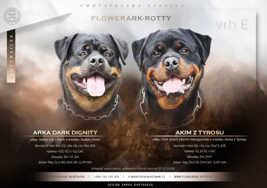 Prodám štěně Rotvajlerů s PP