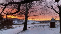 Vyzimovaná včelstva r.m. 39x24