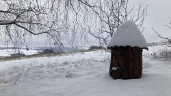 Vyzimovaná včelstva r.m. 39x24