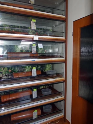 Sestava viz foto ...