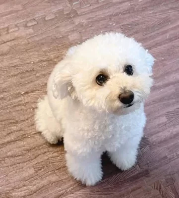 K dispozici k vyzvednutí